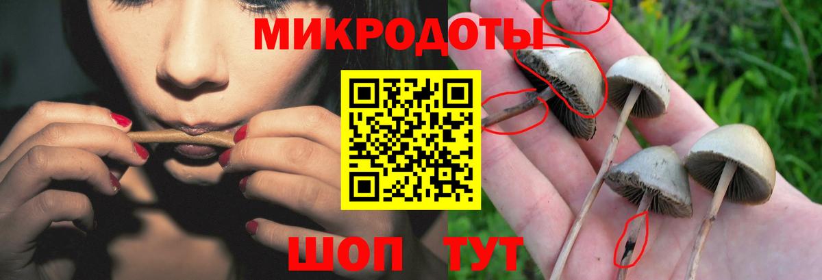 Галлюциногенные грибы Magic Shrooms Борисоглебск